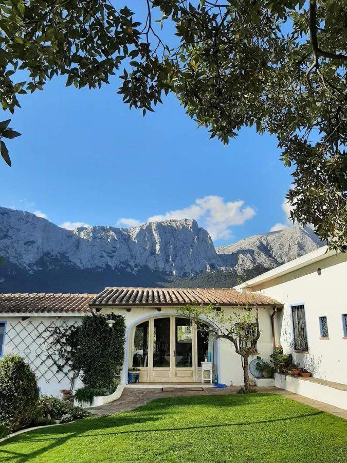 Agriturismo Guthiddai Oliena Exterior photo