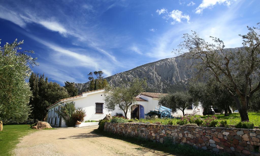 Agriturismo Guthiddai Oliena Exterior photo