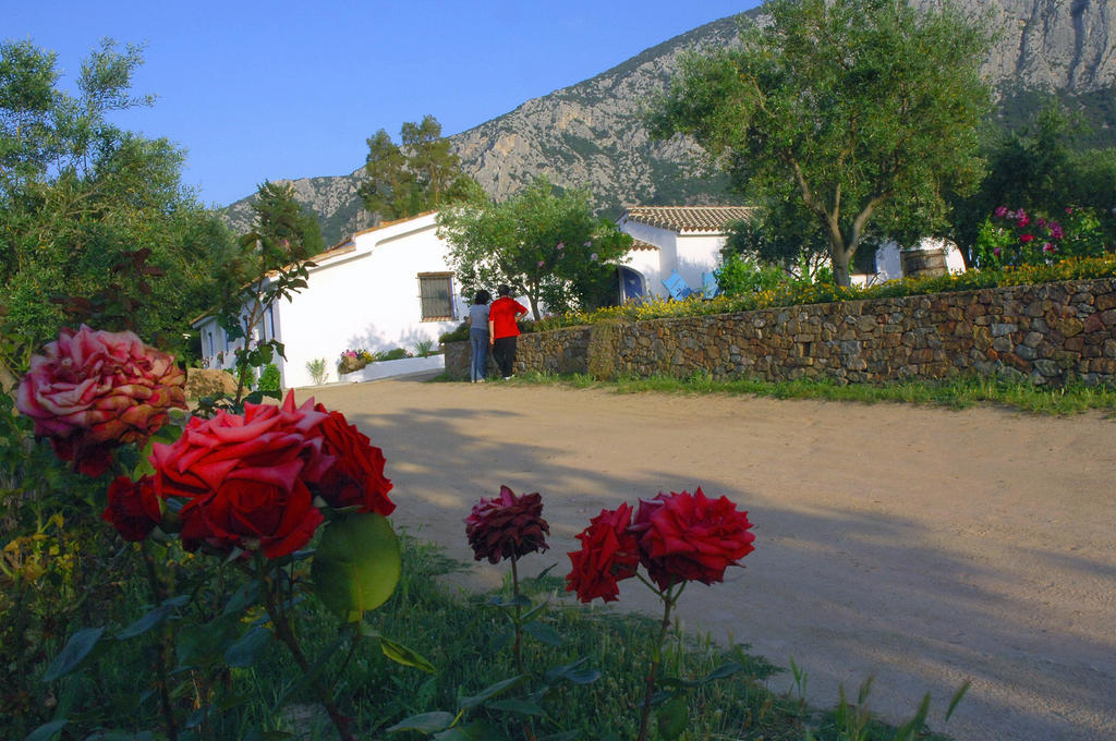Agriturismo Guthiddai Oliena Exterior photo